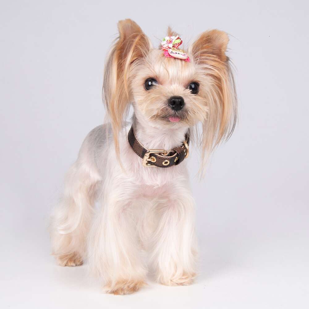 Fashion Floral Pattern Designer Dog Collar Adjustable Soft Leather Collar for Cats Small Dogs Outdoor Activities Holiday Gifts Durable Pet Clothing