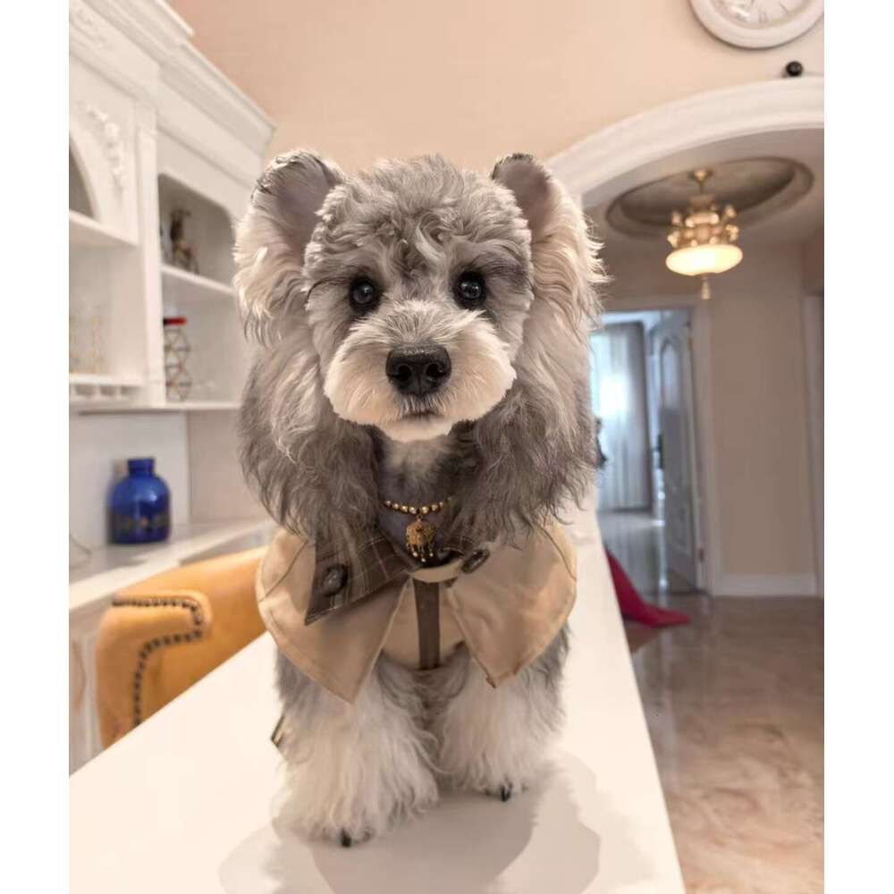 Designer Clothes Classics Lapel Striped Grid Puppy Windbreaker, Luxury Lightweight Dog Jacket for Westie Maltese Poodle Yorkshire Terrier British Styl