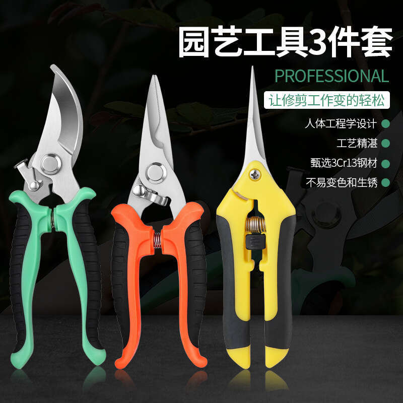Set of pruning shears for gardening, bonsai, orchard, flower and fruit tree branches, multi-purpose tool for landscape, made of stainless steel L26012