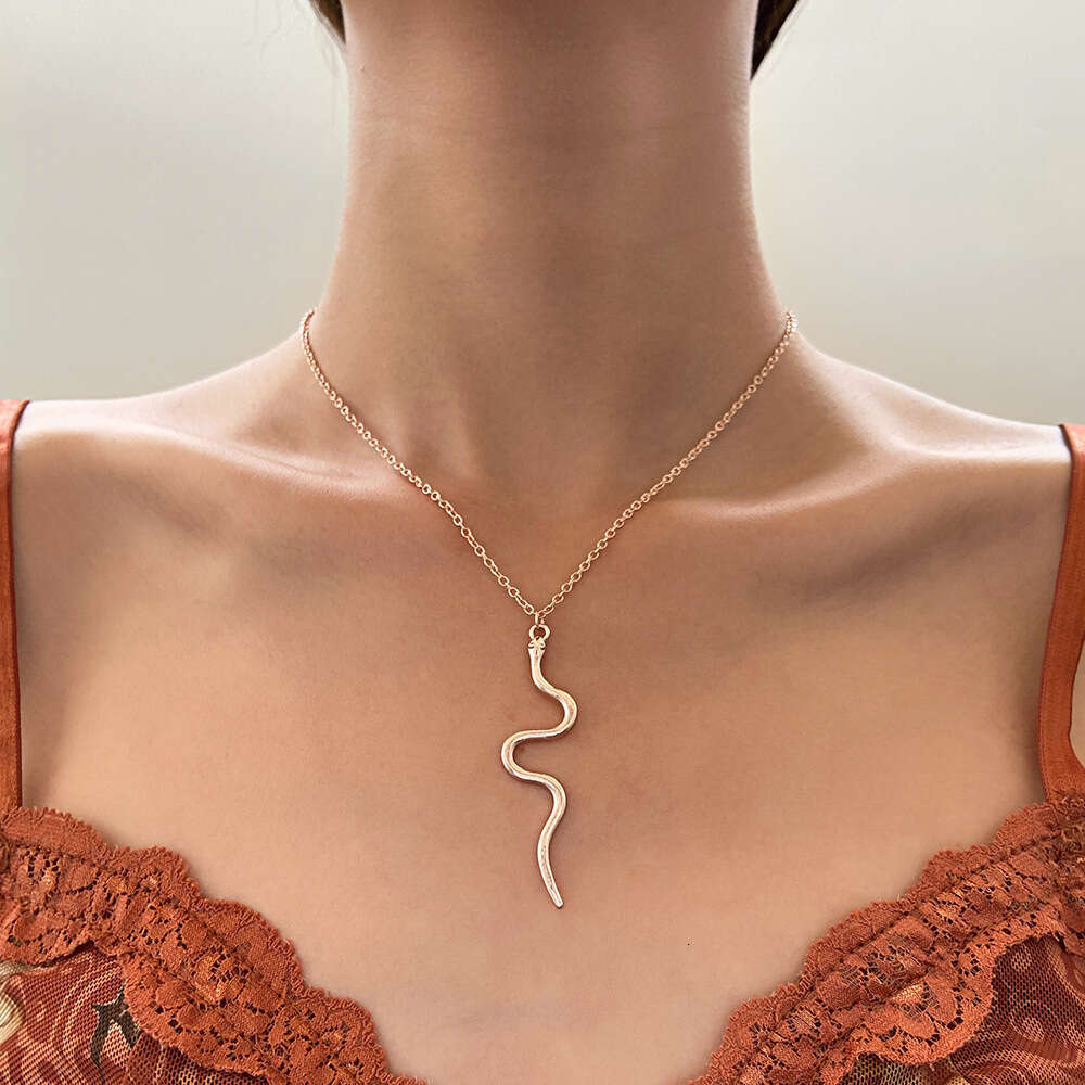 Necklace for Women Womens Jewelry Non-Tarnish Alloy Minimalist Snake Choker Punk Hip-Hop Clavicle Chain Trendy Daily & Party Wear Jewelry