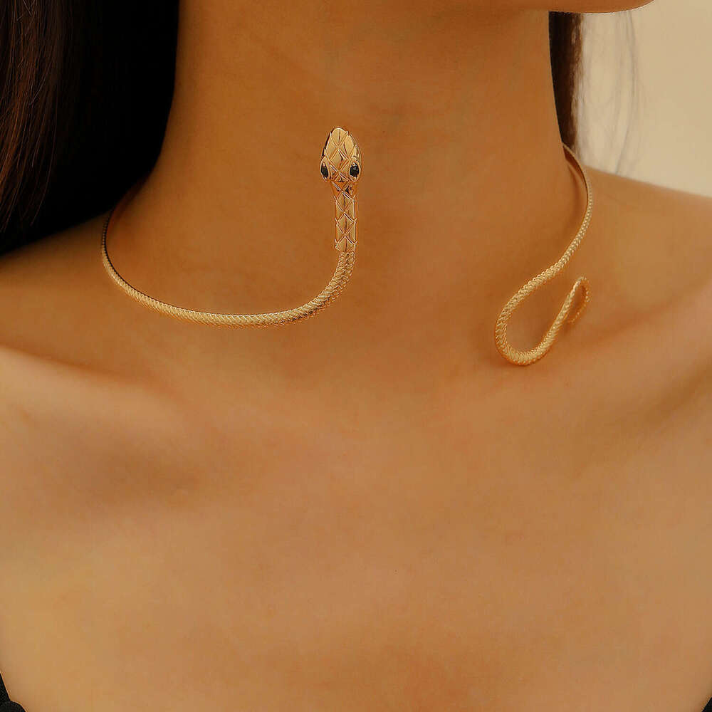Necklace for Women Womens Jewelry Non-Tarnish Alloy Minimalist Snake Choker Punk Hip-Hop Clavicle Chain Trendy Daily & Party Wear Jewelry