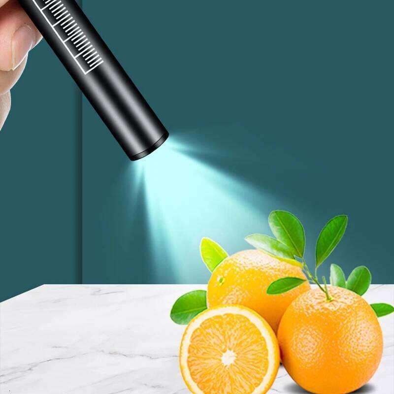 2-in-1 LED Penlight With Pupil Gauge Type-C USB Rechargeable Ldeal Medical First Aid Work Camping Hike Child Emergency Lighting Z260121