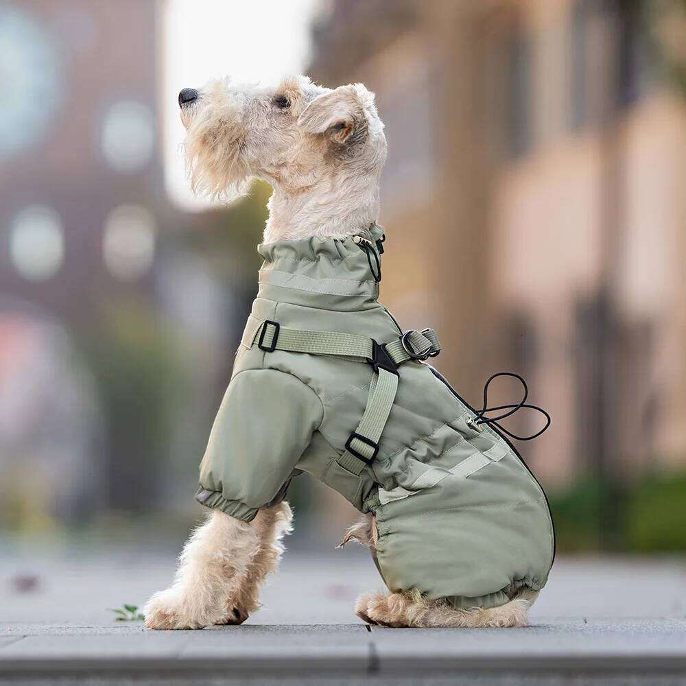 Famous brand Premium Hood for Extra Small Dogs Outdoor Sports Waterproof Dog Rain Jacket Puppy Raincoat with Reflective pupakaIK