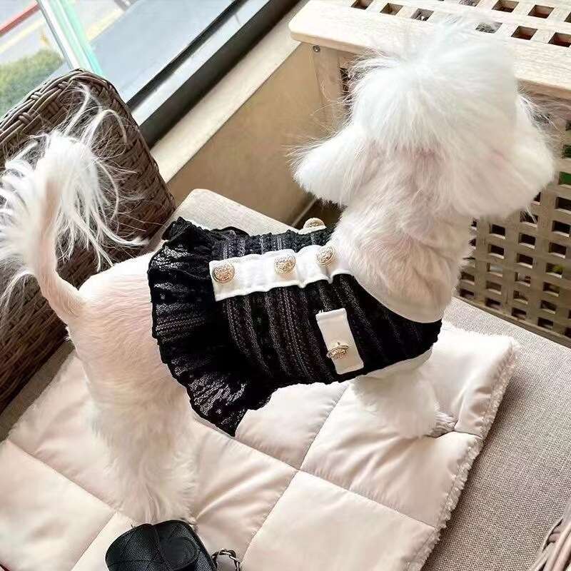 Pet Summer Mesh Lace Skirt Floral Cat Thin Dog Clothes Dress for Small Puppy Outdoor Holidays Everyday Outfits with Designer Collar