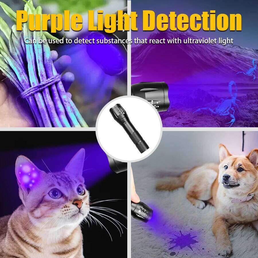 2 In 1 Ultraviolet Flashlight Purple White Dual Light Zoomable Torch Built in Battery Recharge Scorpion Hunting UV Flashlights Z260121