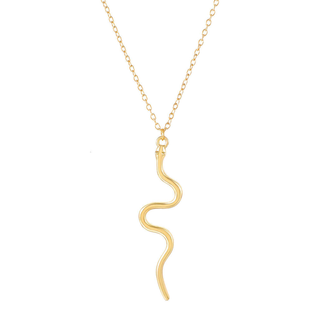 Necklace for Women Womens Jewelry Non-Tarnish Alloy Minimalist Snake Choker Punk Hip-Hop Clavicle Chain Trendy Daily & Party Wear Jewelry