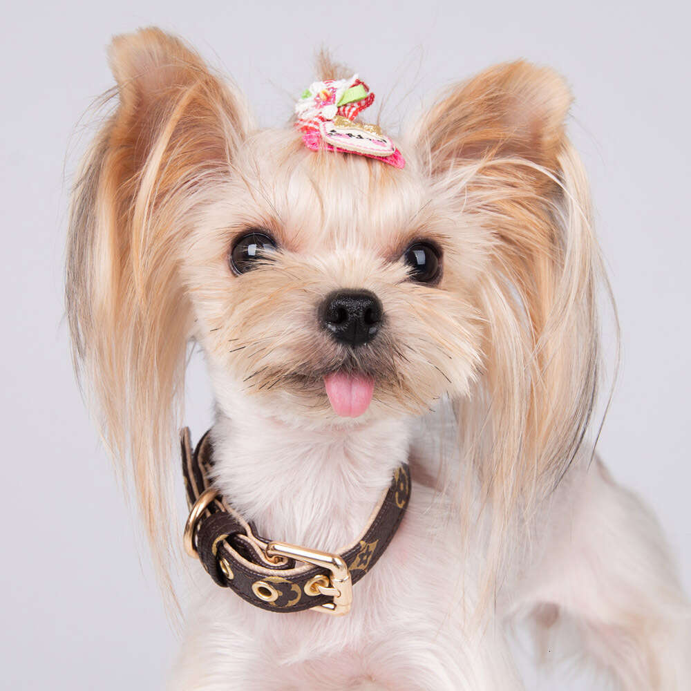 Pet Collars Fashion Casual Adjustable PU Leather Strap with Designer Letters Pattern for Dogs Cats Outdoor Home Use Decoration Toys and Carry Scenario