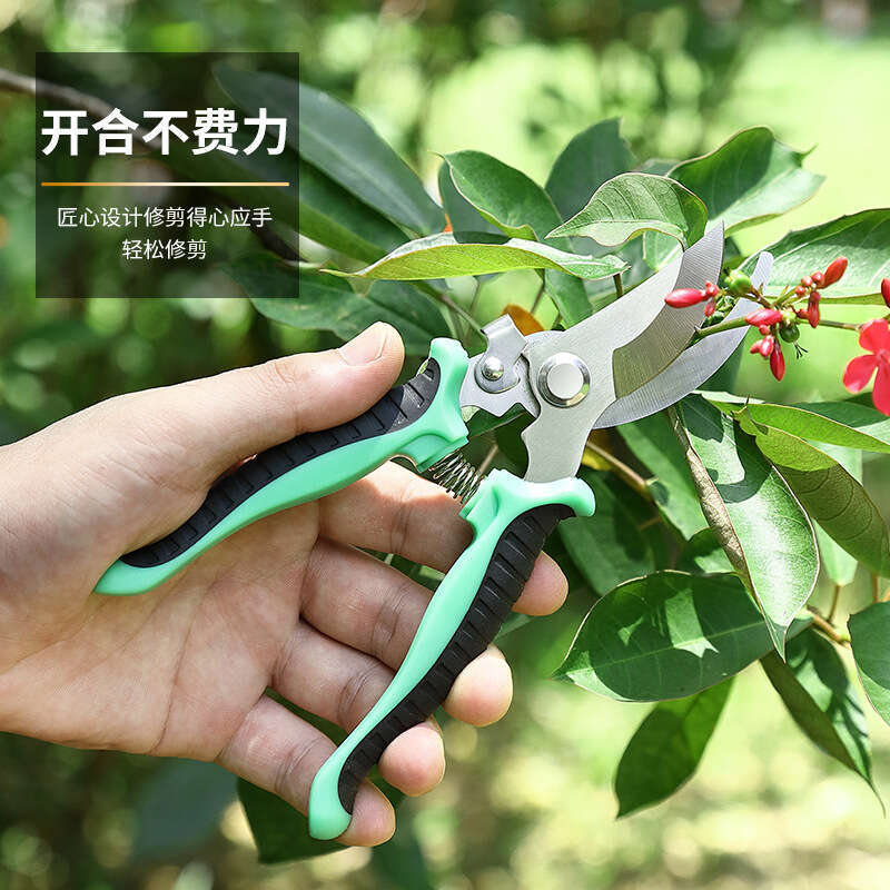 Set of pruning shears for gardening, bonsai, orchard, flower and fruit tree branches, multi-purpose tool for landscape, made of stainless steel L26012