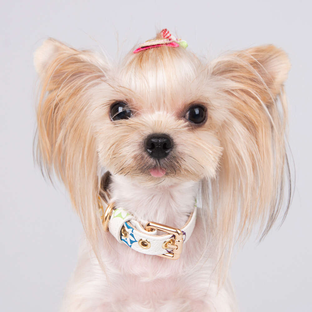 Fashion Floral Pattern Designer Dog Collar Adjustable Soft Leather Collar for Cats Small Dogs Outdoor Activities Holiday Gifts Durable Pet Clothing