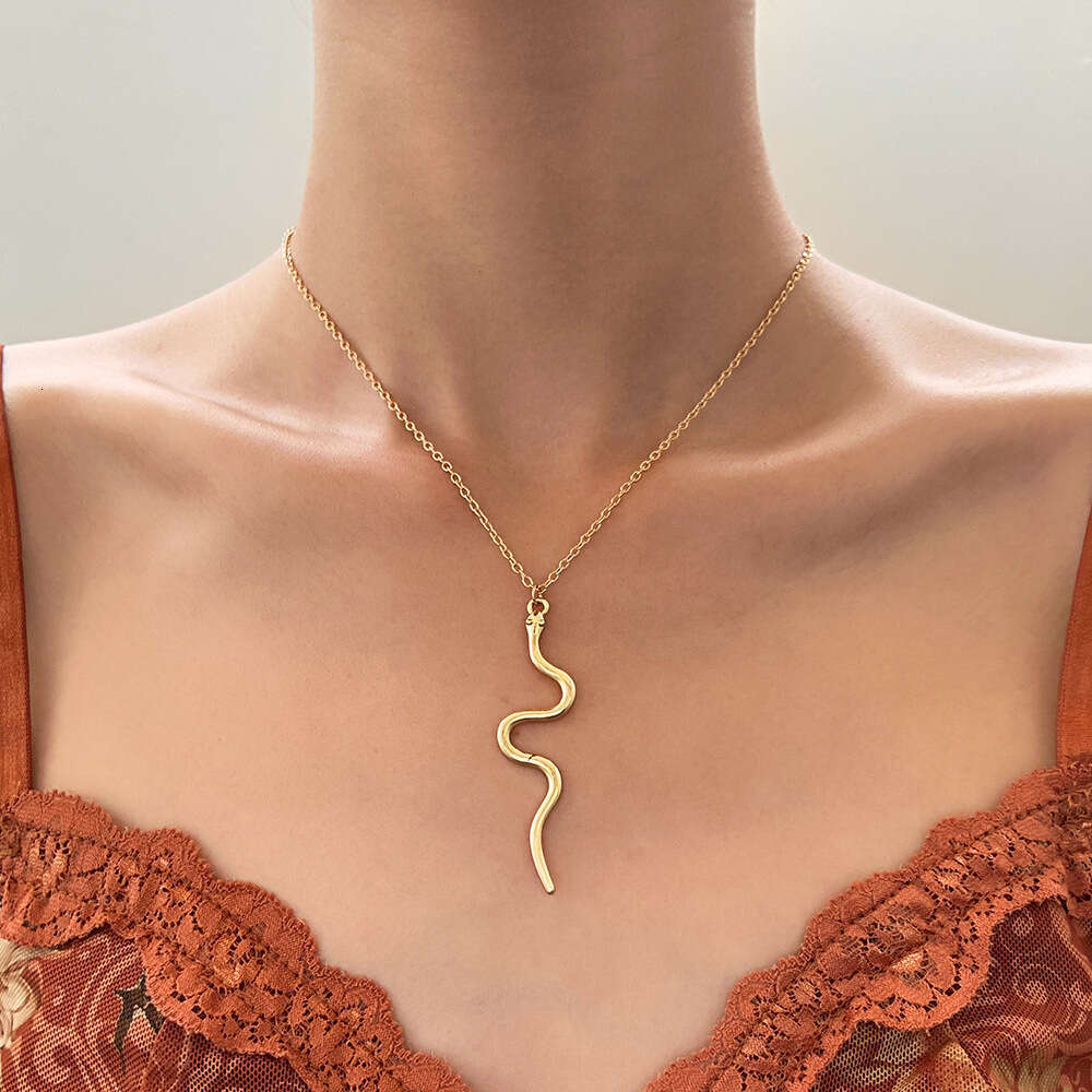 Necklace for Women Womens Jewelry Non-Tarnish Alloy Minimalist Snake Choker Punk Hip-Hop Clavicle Chain Trendy Daily & Party Wear Jewelry