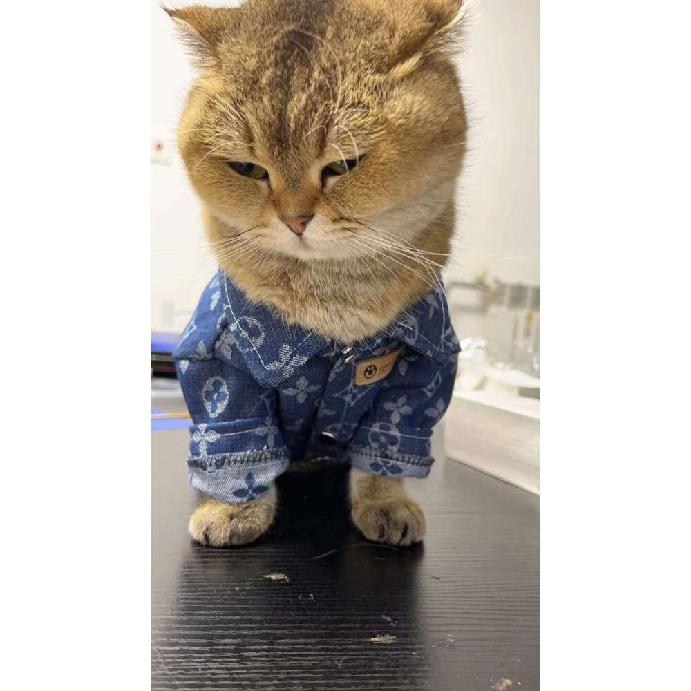 Printing Denim Clothes for Small Medium Dogs Soft Polyester Unisex Cat Overalls Snap Button Coats Autumn Pet Chihuahua Clothing - view 7
