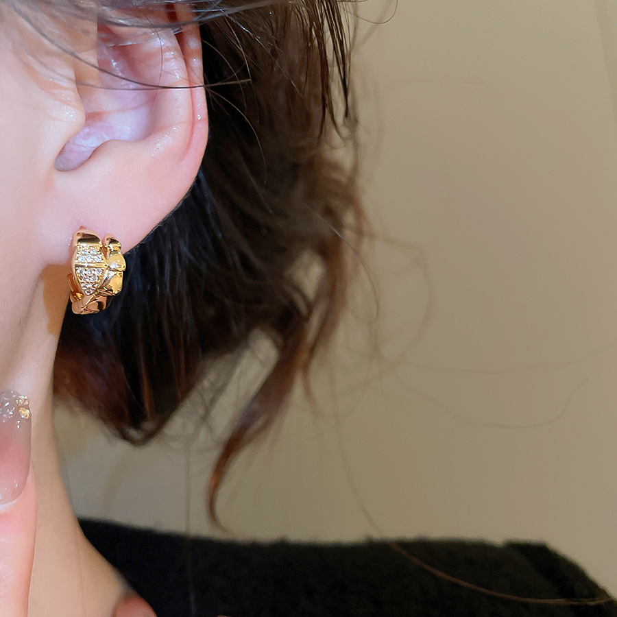 Real Gold Plated Zircon Snake Wrap French Retro Personality Fashion Design Sense Niche Earrings for Women - view 3