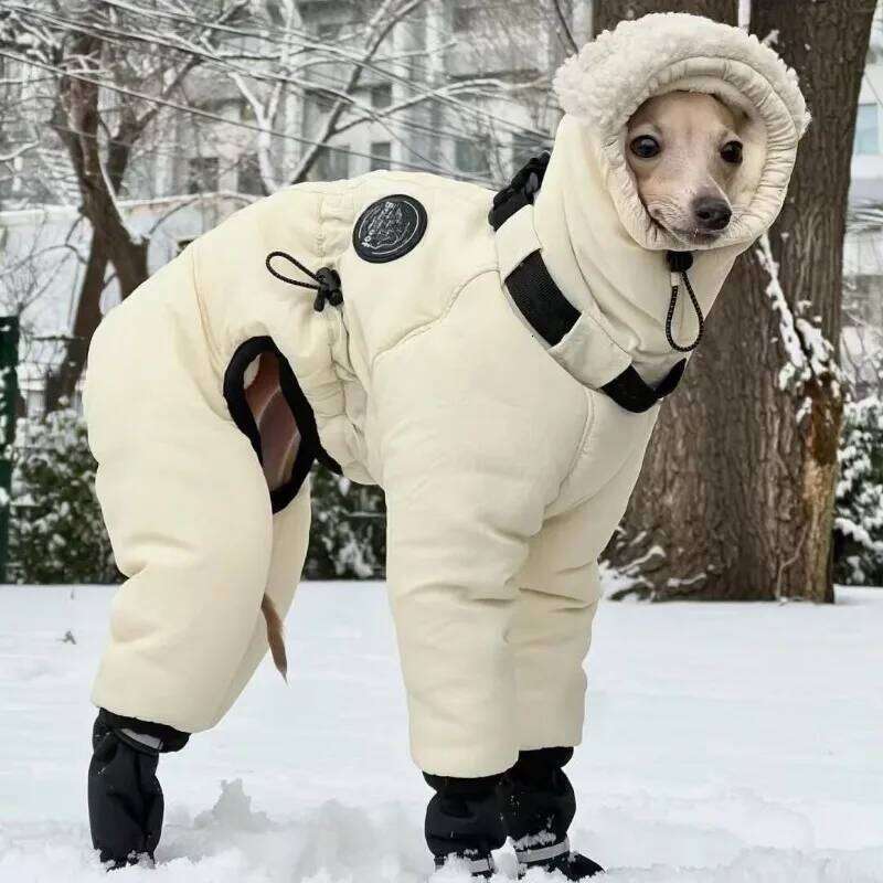 Famous brand Autumn Winter Thicken Pet Clothing Handsome Medium Large Dogs Jackets Coats Outdoor Labrador Retriever Soft Warm Clothes pupakaIK