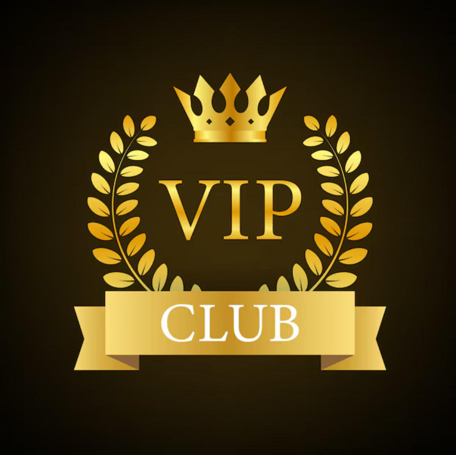 Hejing XX-08 the link is for VIP Payment Gateway Complete Purchases, Pay Differences and Priority Logistics