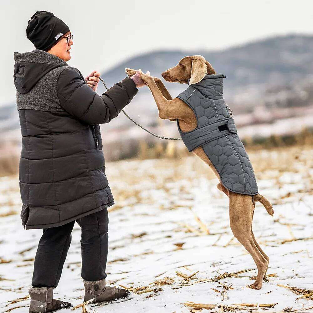 Famous brand Coat Thickened Quilted Winter Dog Vest with Secure Reflective Adjustable Warm Jacket for Small Medium To Large Dogs pupakaIK