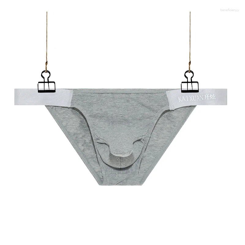 Underpants Men's Br… - image