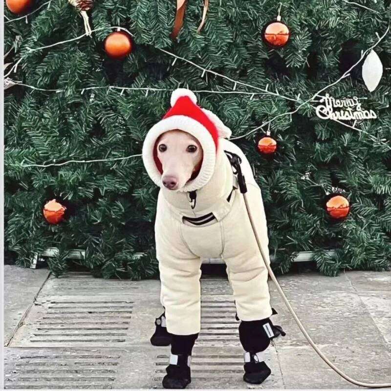 Famous brand Autumn Winter Thicken Pet Clothing Handsome Medium Large Dogs Jackets Coats Outdoor Labrador Retriever Soft Warm Clothes pupakaIK