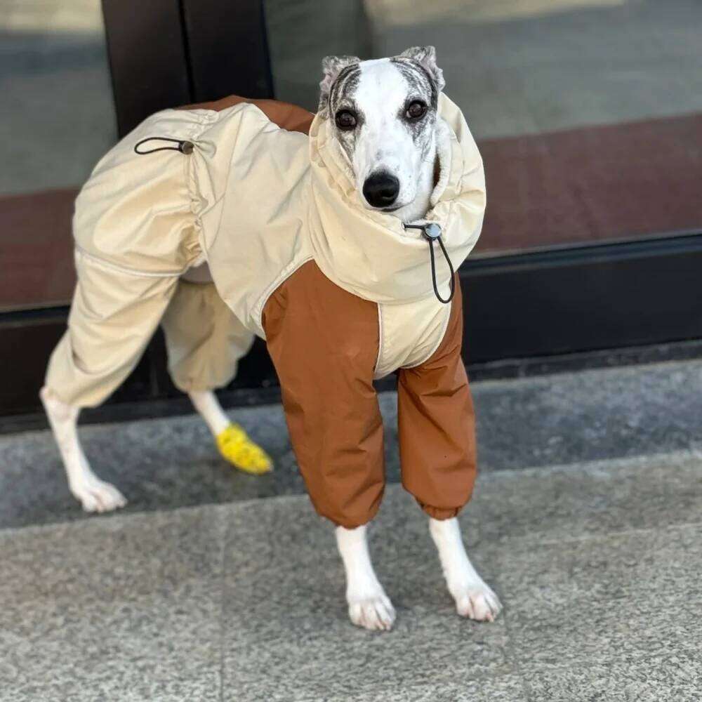 Famous brand Dog Clothes in Winter Snow Weather Thicken Plush legged Khaki Jacket Windproof Waterproof Warm Coat for Italy Greyhound Huibit pupakaIK