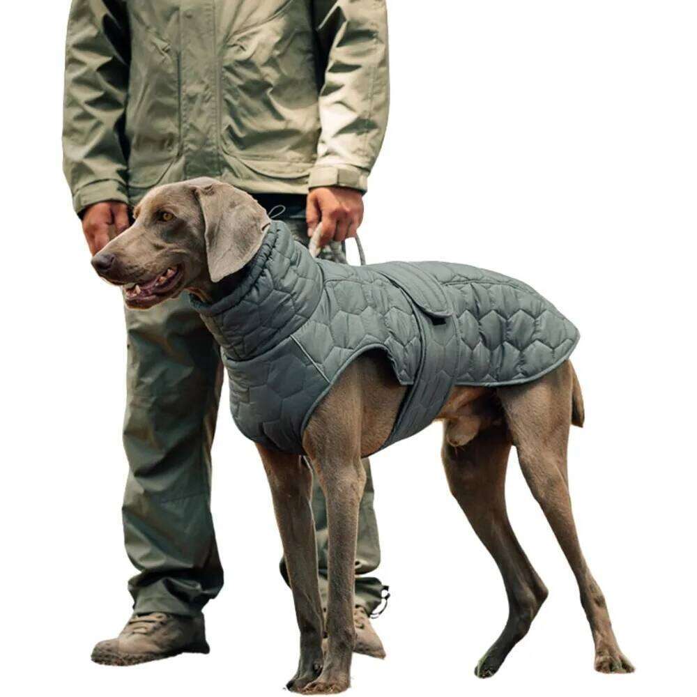 Famous brand Coat Thickened Quilted Winter Dog Vest with Secure Reflective Adjustable Warm Jacket for Small Medium To Large Dogs pupakaIK