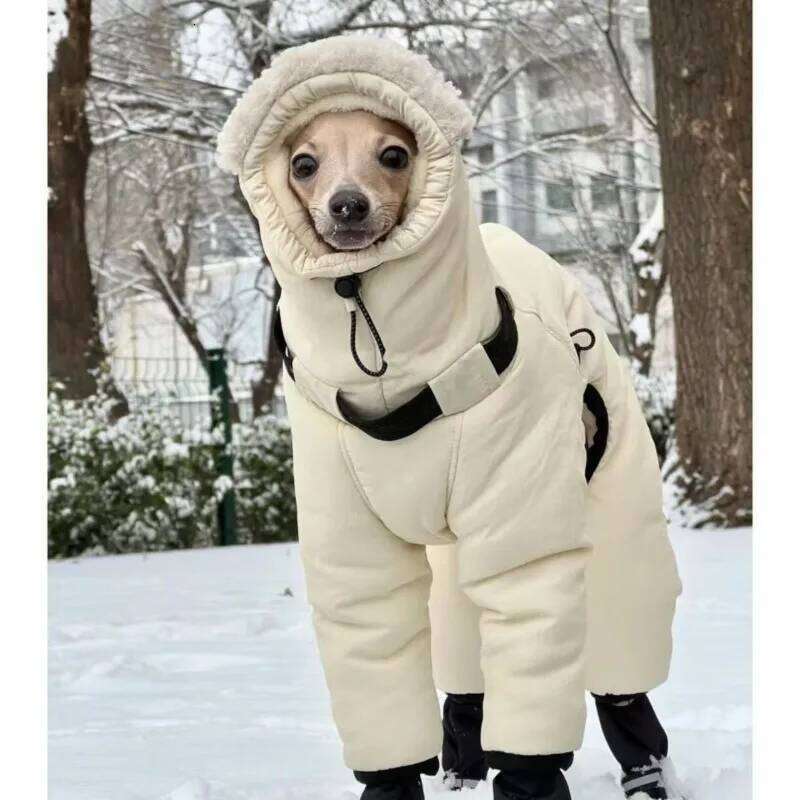 Famous brand Autumn Winter Thicken Pet Clothing Handsome Medium Large Dogs Jackets Coats Outdoor Labrador Retriever Soft Warm Clothes pupakaIK