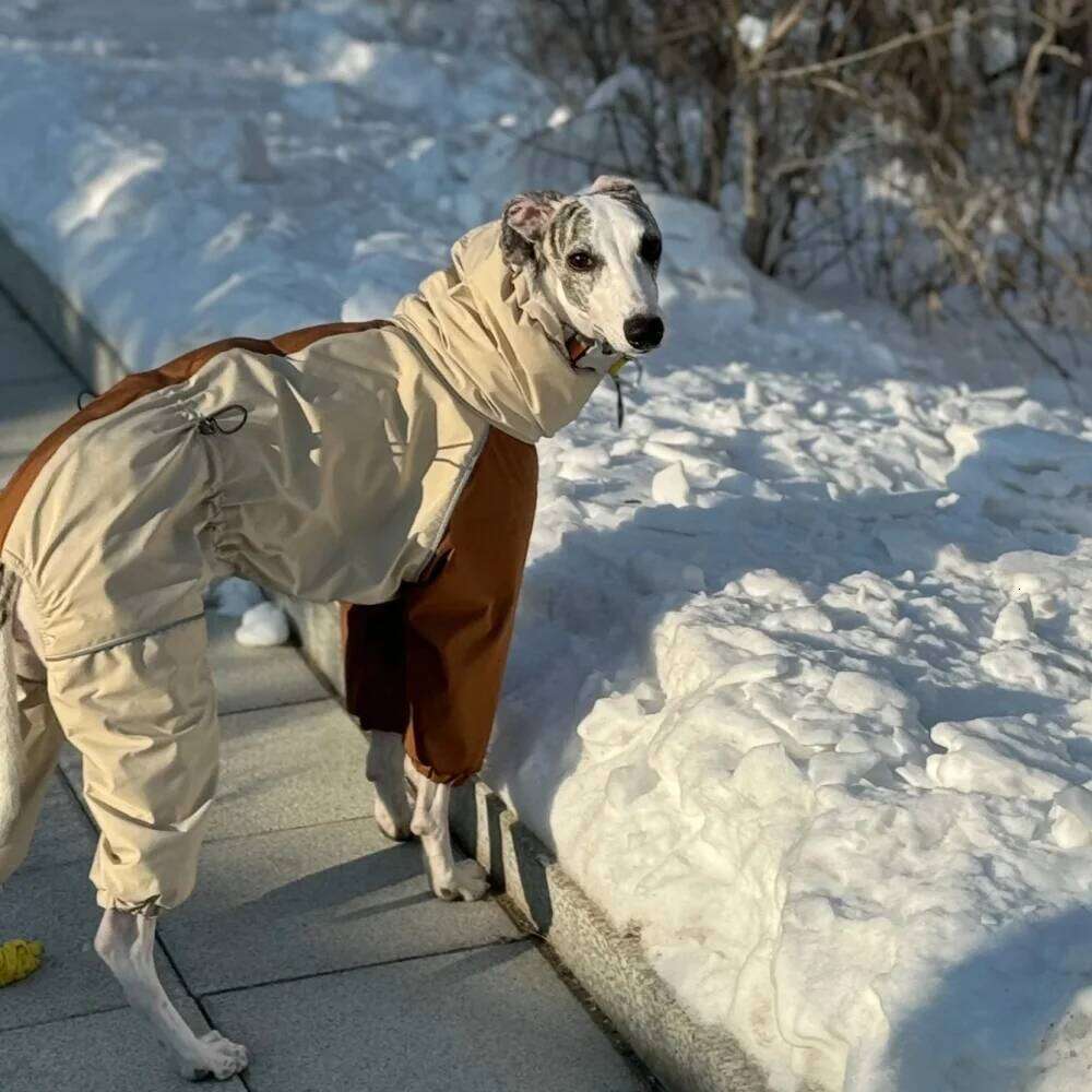 Famous brand Dog Clothes in Winter Snow Weather Thicken Plush legged Khaki Jacket Windproof Waterproof Warm Coat for Italy Greyhound Huibit pupakaIK