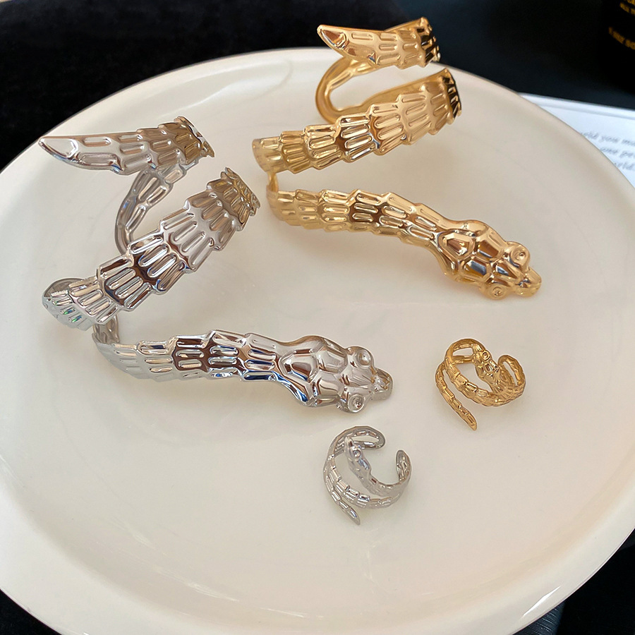 Irregular Metal Snake-Shaped Open Set European and American Ins Exaggerated Elegant Bracelet Light Luxury High-End Feel Jewelry - view 4