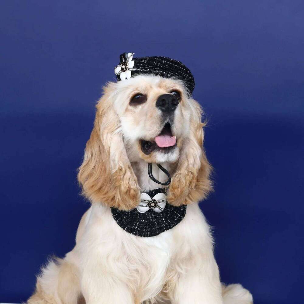 Small Floral-style Pet Set For Cats And Dogs, Including A Bib, Knitted Hat With Camellia Buds, Bowknot, And Lace Trimming