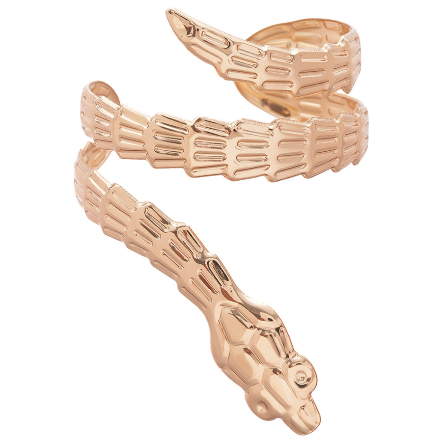 Irregular Metal Snake-Shaped Open Set European and American Ins Exaggerated Elegant Bracelet Light Luxury High-End Feel Jewelry - view 9
