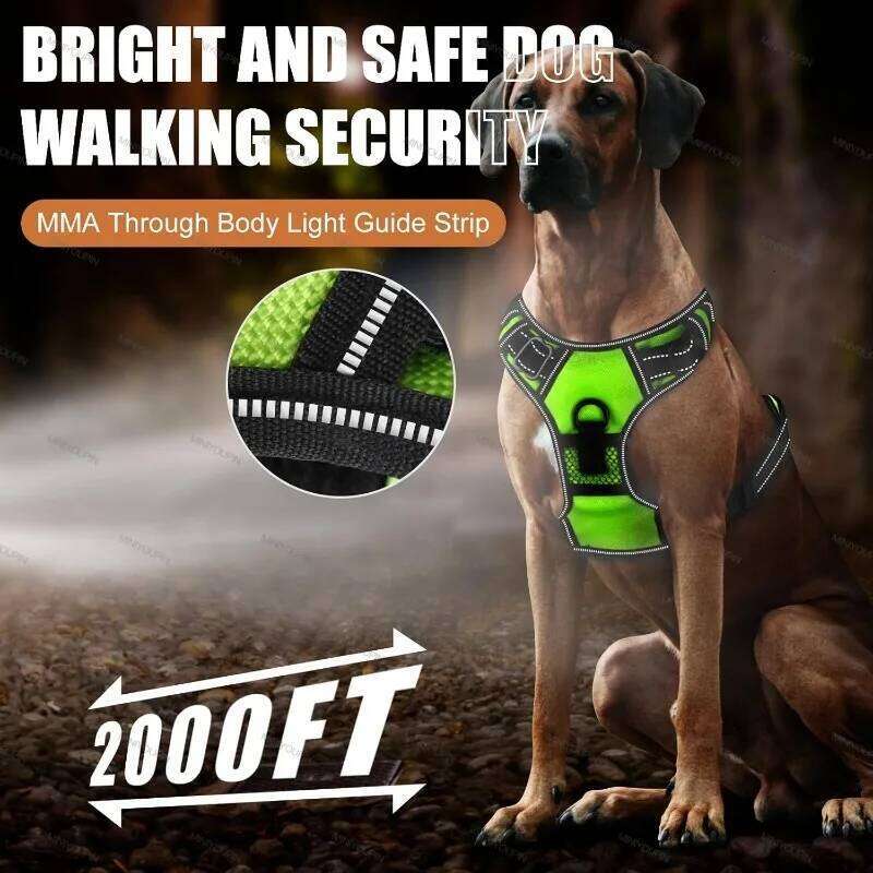 Glowing Luminous Harnesses Essential for Walking Safety at Night Dog Vest with Three LED Light Modes Rechargeable 26W01123