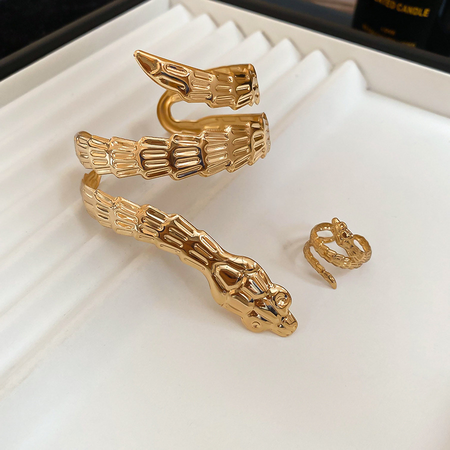Irregular Metal Snake-Shaped Open Set European and American Ins Exaggerated Elegant Bracelet Light Luxury High-End Feel Jewelry - view 6