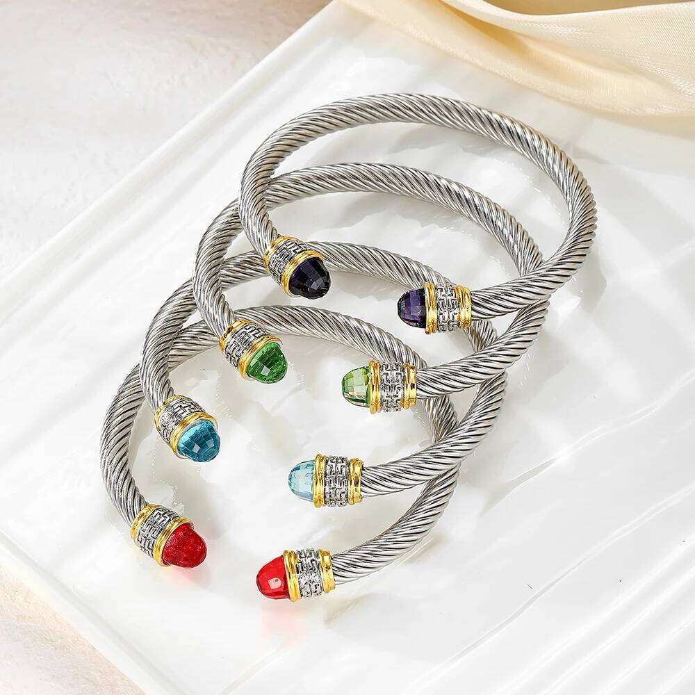 Stainless Twisted Colorfuled Titanium Steel Open Bracelet, Gift for Friends Z260123