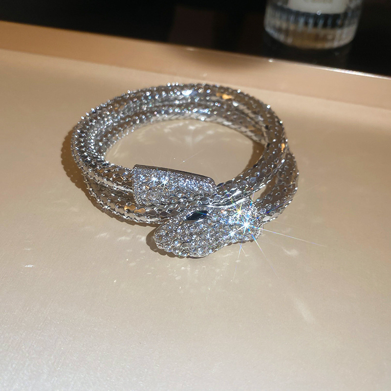Cross-Border High-End Diamond-Studded Twisted Snake Necklace Bracelet European and American Style Elegant Collarbone Design Sse Temperamt Neck Chain f