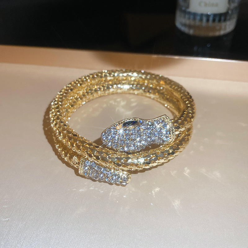 Cross-Border High-End Diamond-Studded Twisted Snake Necklace Bracelet European and American Style Elegant Collarbone Design Sse Temperamt Neck Chain f