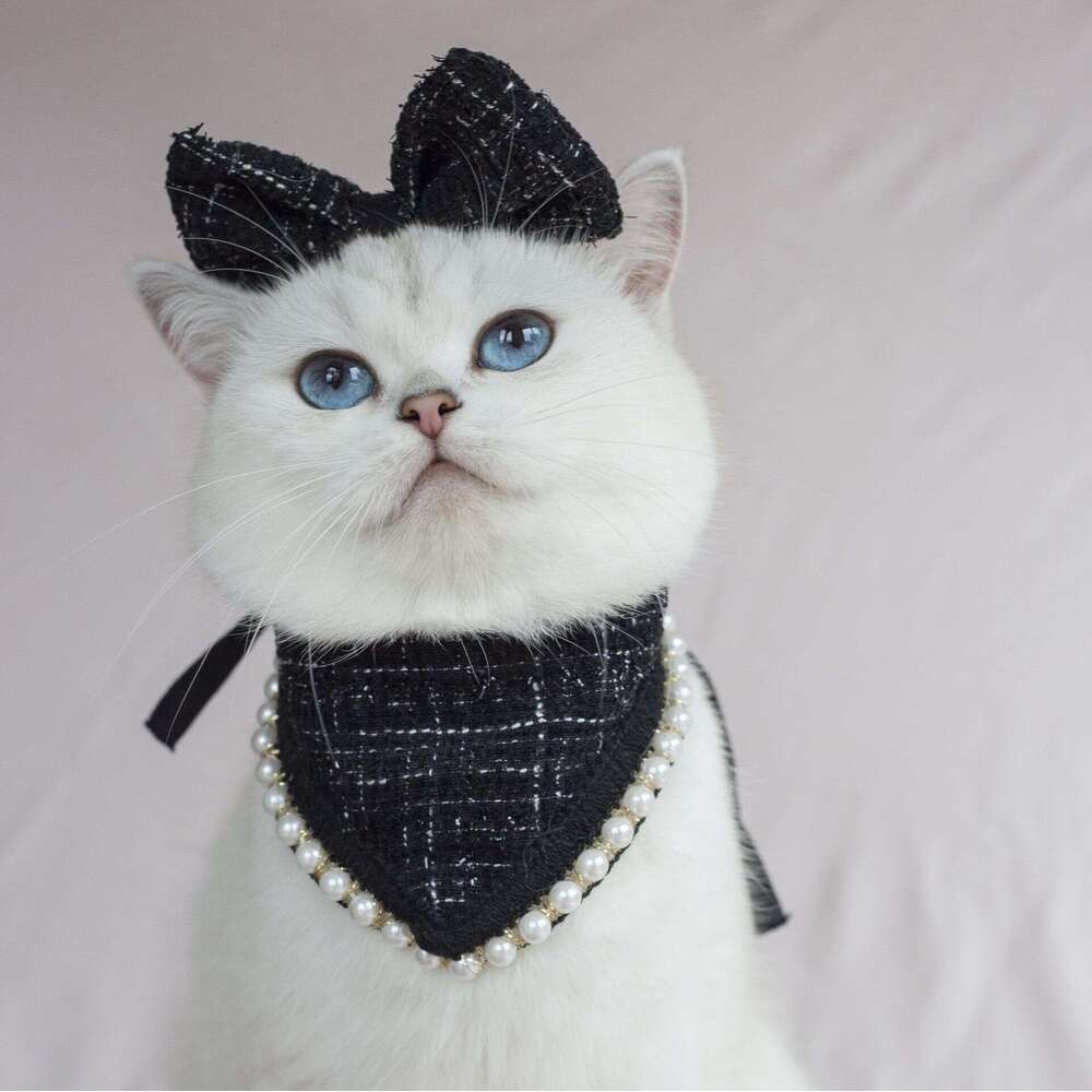 Pet Clothing Floral Cat Collar Bib Scarf, Adjustable Small Dog Drool Cover, Camellia Pearl Accessory for Cats Dogs Everyday Outfits Outdoors Holidays