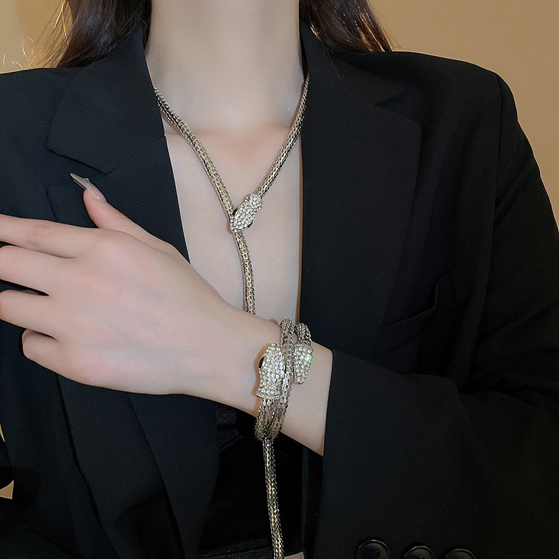 Cross-Border High-End Diamond-Studded Twisted Snake Necklace Bracelet European and American Style Elegant Collarbone Design Sse Temperamt Neck Chain f