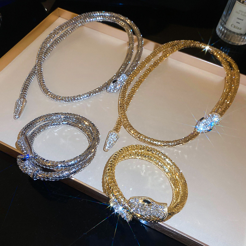 Cross-Border High-End Diamond-Studded Twisted Snake Necklace Bracelet European and American Style Elegant Collarbone Design Sse Temperamt Neck Chain f
