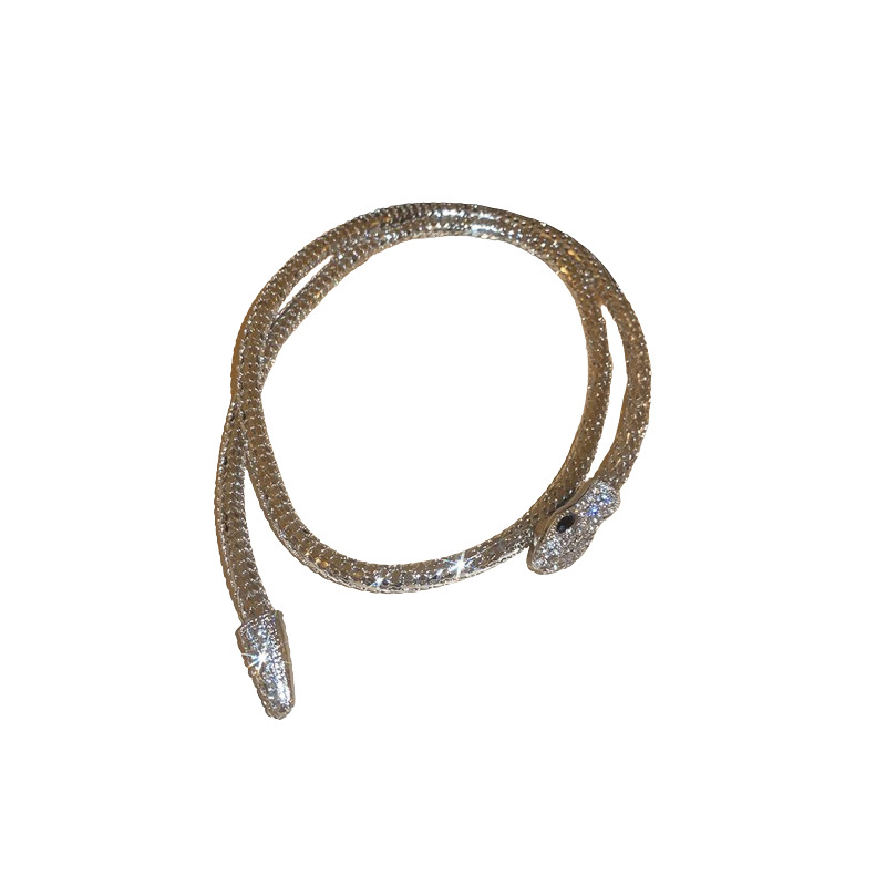 Cross-Border High-End Diamond-Studded Twisted Snake Necklace Bracelet European and American Style Elegant Collarbone Design Sse Temperamt Neck Chain f
