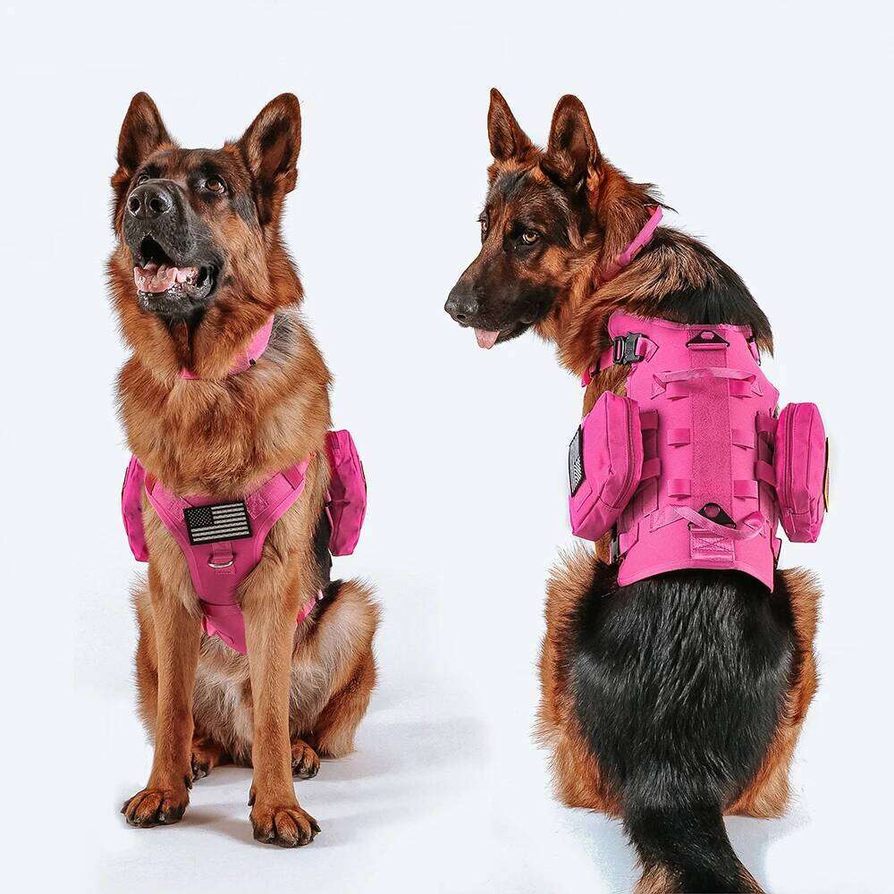 Military Tactical Dog Harness Collar Leash Set with Pouches Flags Durable Pet Harnesses Vest Collars Leashes for Dogs Training 26W01123