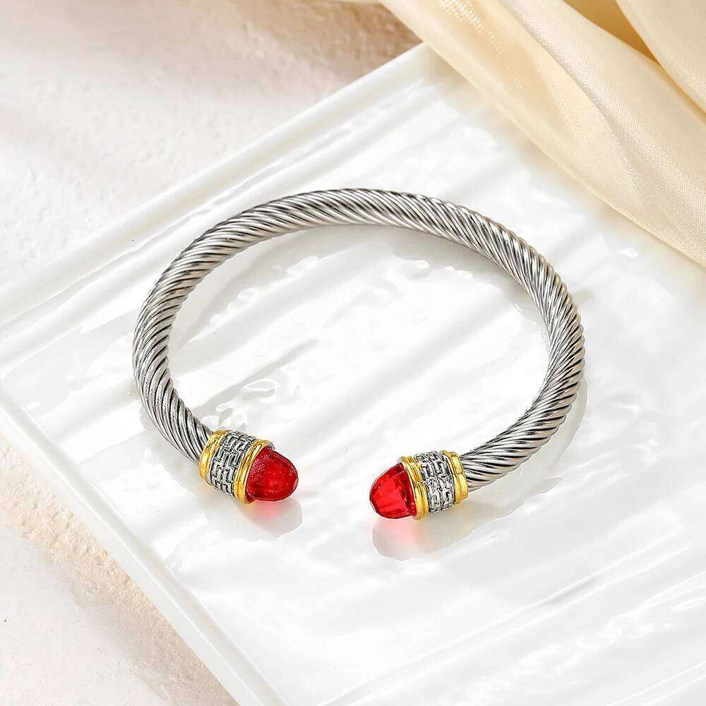 Stainless Twisted Colorfuled Titanium Steel Open Bracelet, Gift for Friends Z260123