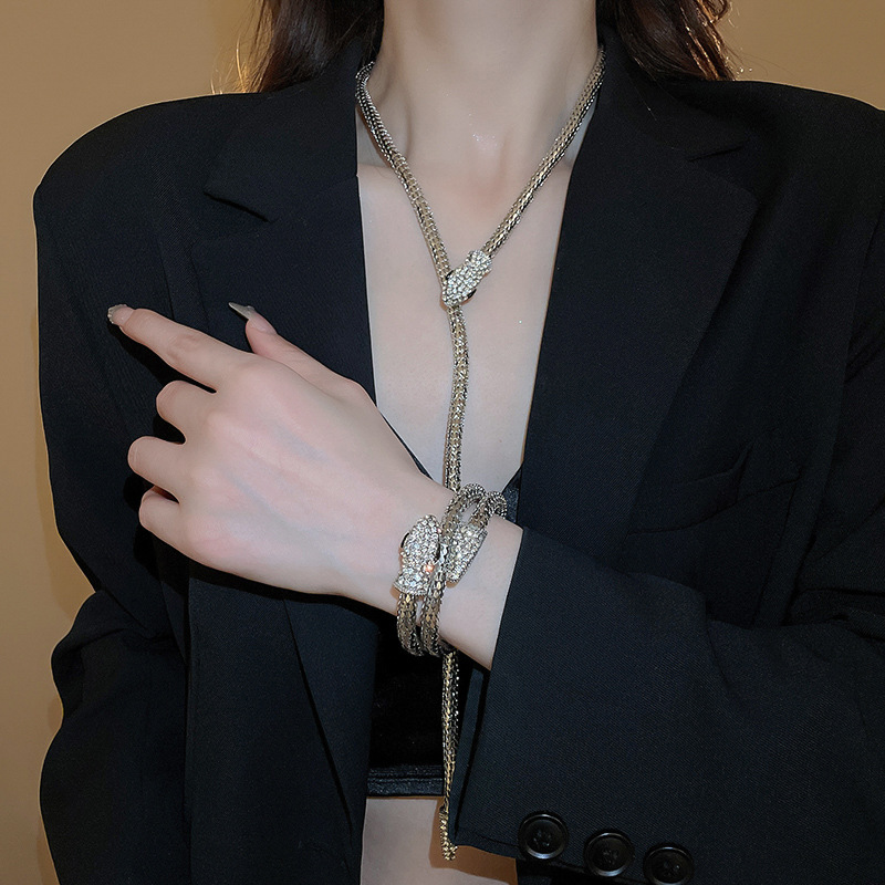 Cross-Border High-End Diamond-Studded Twisted Snake Necklace Bracelet European and American Style Elegant Collarbone Design Sse Temperamt Neck Chain f