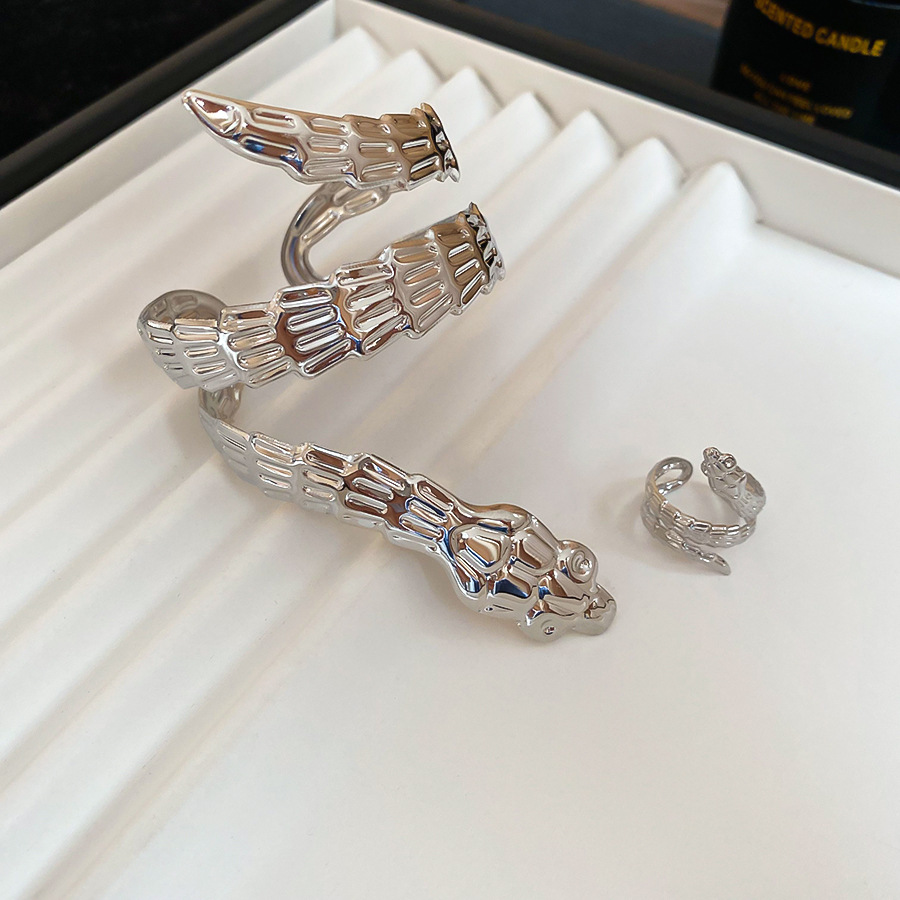 Irregular Metal Snake-Shaped Open Set European and American Ins Exaggerated Elegant Bracelet Light Luxury High-End Feel Jewelry - view 7