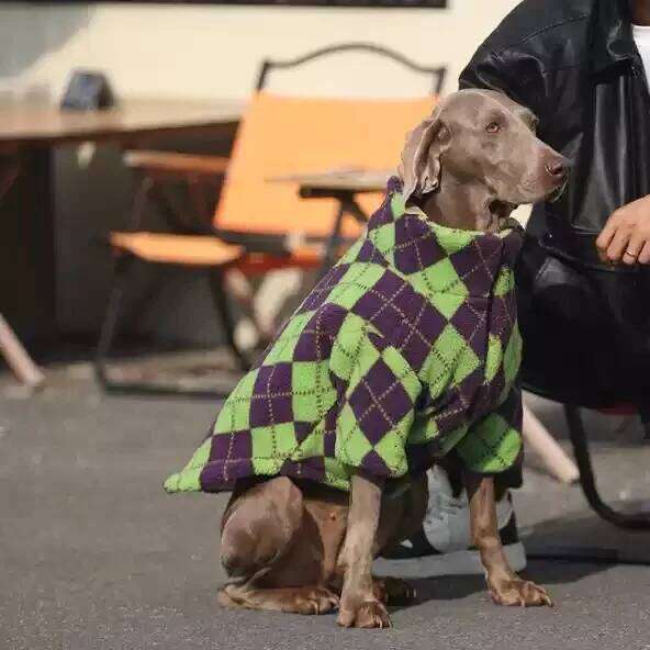 Large Coat Hoodie Big Dog Clothes Winter Pet Apparel Poodle Border Collie Samoyed Husky Labrador Golden Retriever Costumes