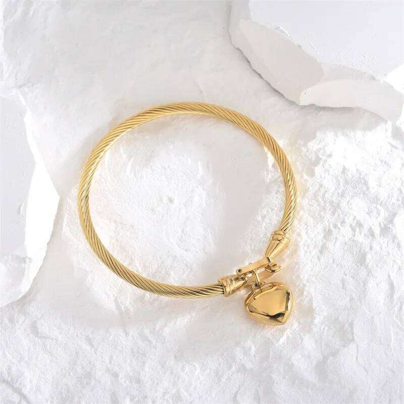 18k Gold Color Stainless Steel Heart Pendant Charm Bangle Bracelets for Men Women Z260123