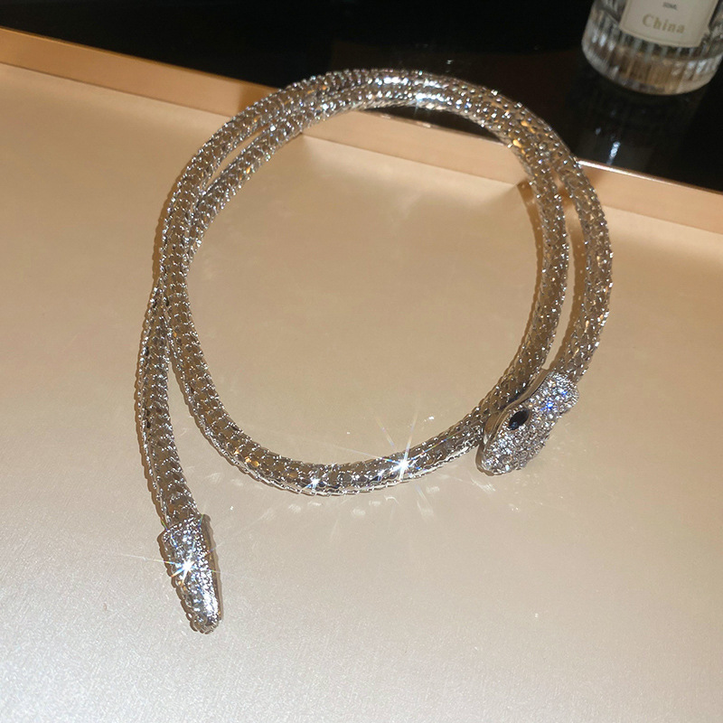 Cross-Border High-End Diamond-Studded Twisted Snake Necklace Bracelet European and American Style Elegant Collarbone Design Sse Temperamt Neck Chain f
