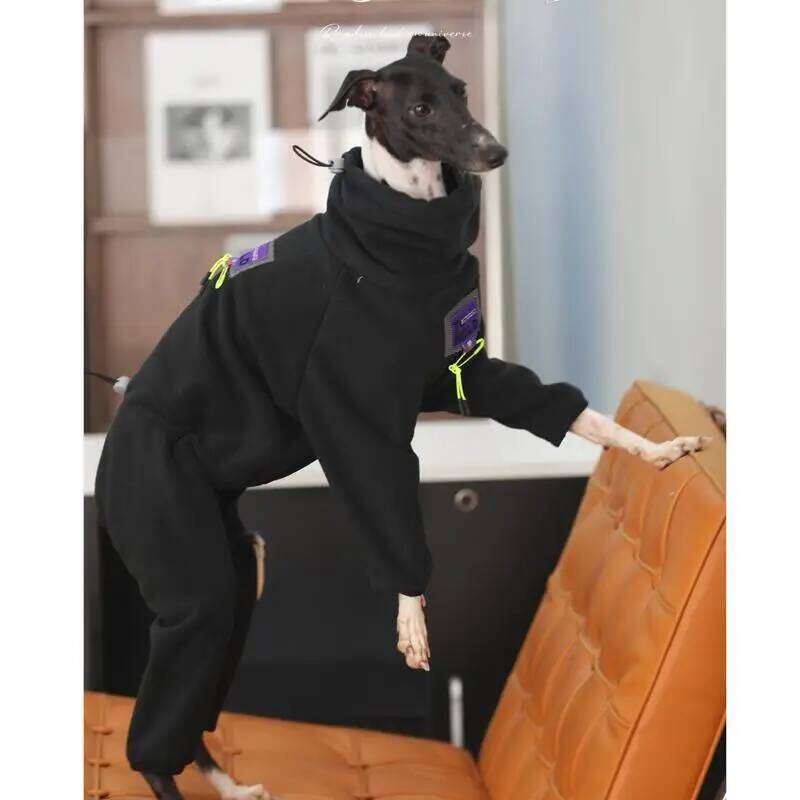Famous brand Fashion Italian Black Stretch Soft Whippet legged Outing Dog Greyhound Warm Clothes in Winter pupakaIK