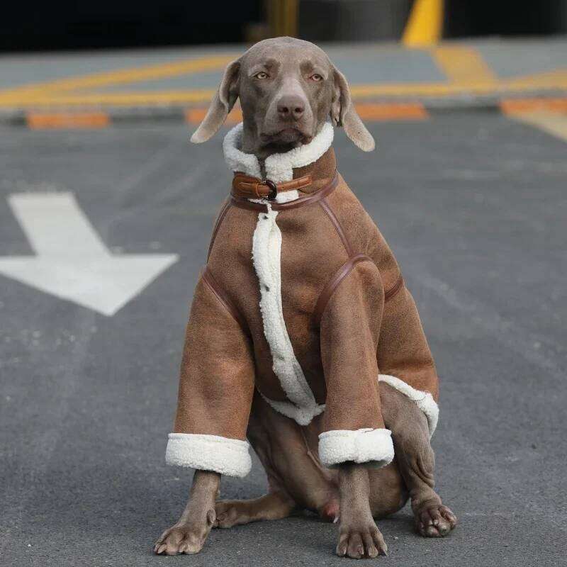 Large Clothes Winter Pet Coat Schnauzer Border Collie Samoyed Husky Labrador Golden Retriever Weimaraner Big Dog Clothing