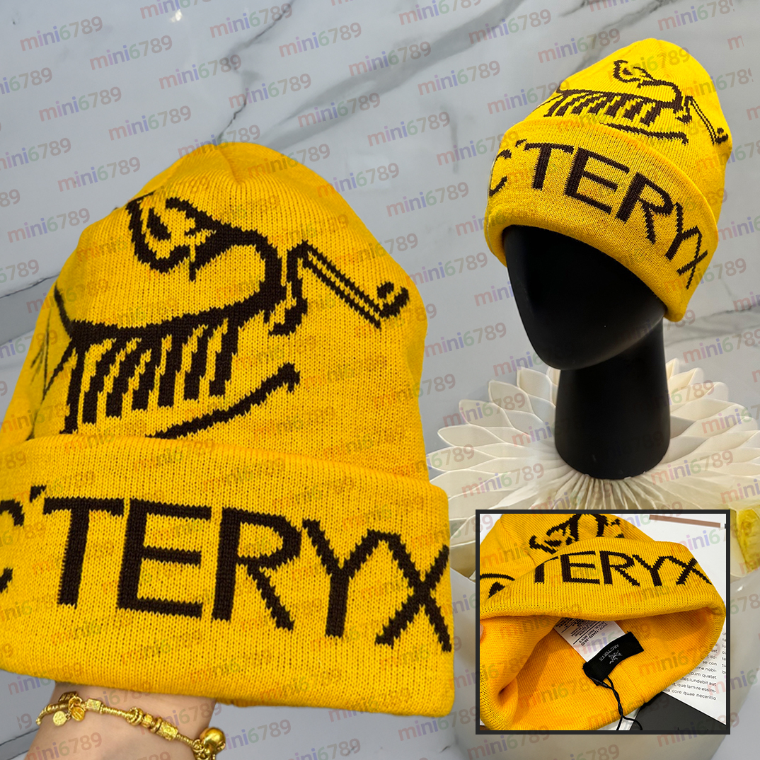 Classic beanie ARC teryxs Wool Hat luxury cashmere hat embroidered ancient bird pattern street fashion brand arc bonnet GROTO TOQUE autumn and winter warm hats