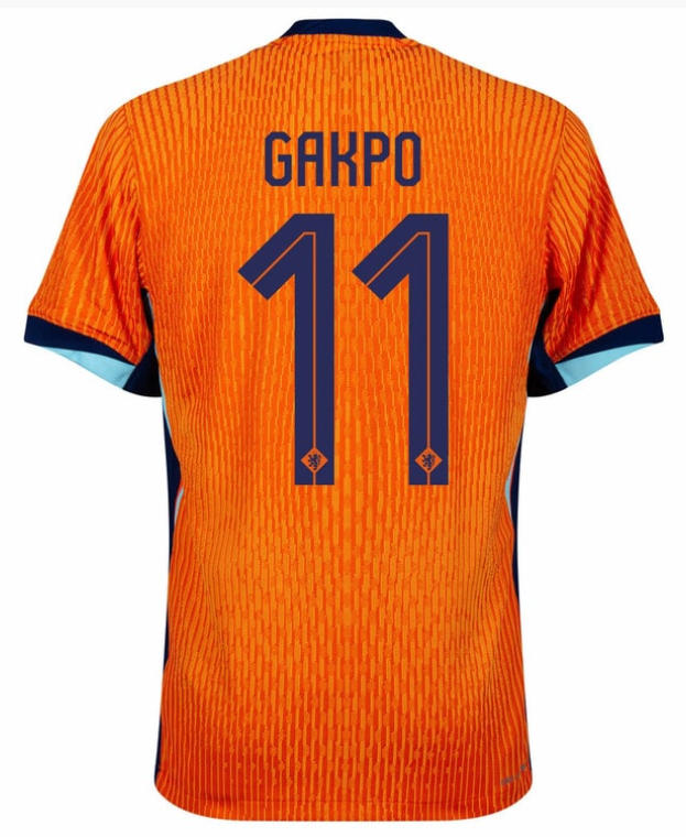 Netherlands Dutch jersey Holland world cup 2026 retro Soccer Jersey Bergkamp ROBBEN vintage National Team football tops Shirt Kids Kit MEMPHIS GAKPO 2
