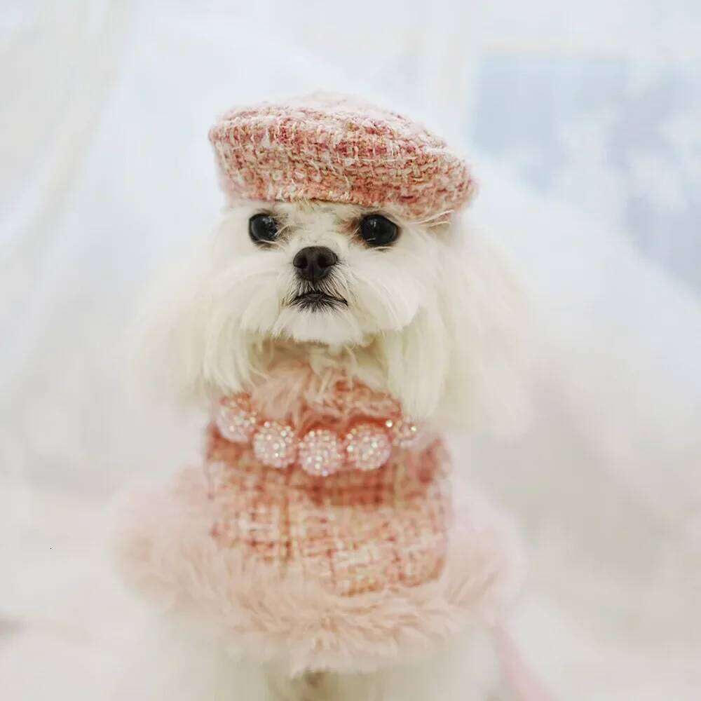 Classic Winter Clothes Harness Outfit Girls Fragrant Cloak Princess Puppy Cats Chest And Back Traction For Small Dog
