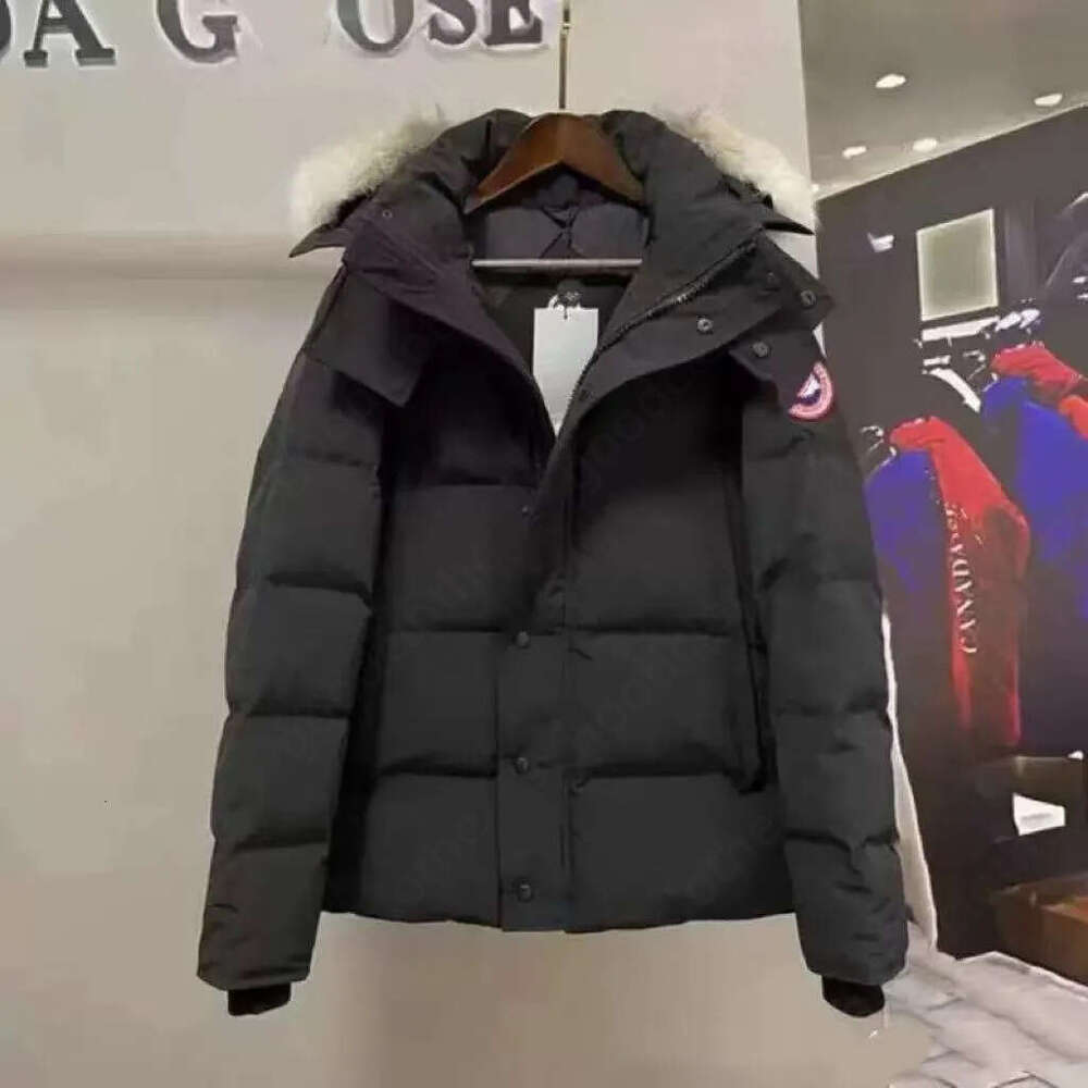 2026 10A Designer Canadianly Goose Jacket Parka Men Hooded Winter Goosemen Jacket Coat Warm Thicken Cotton Luxury Fashion Classic Trend Quality 38D